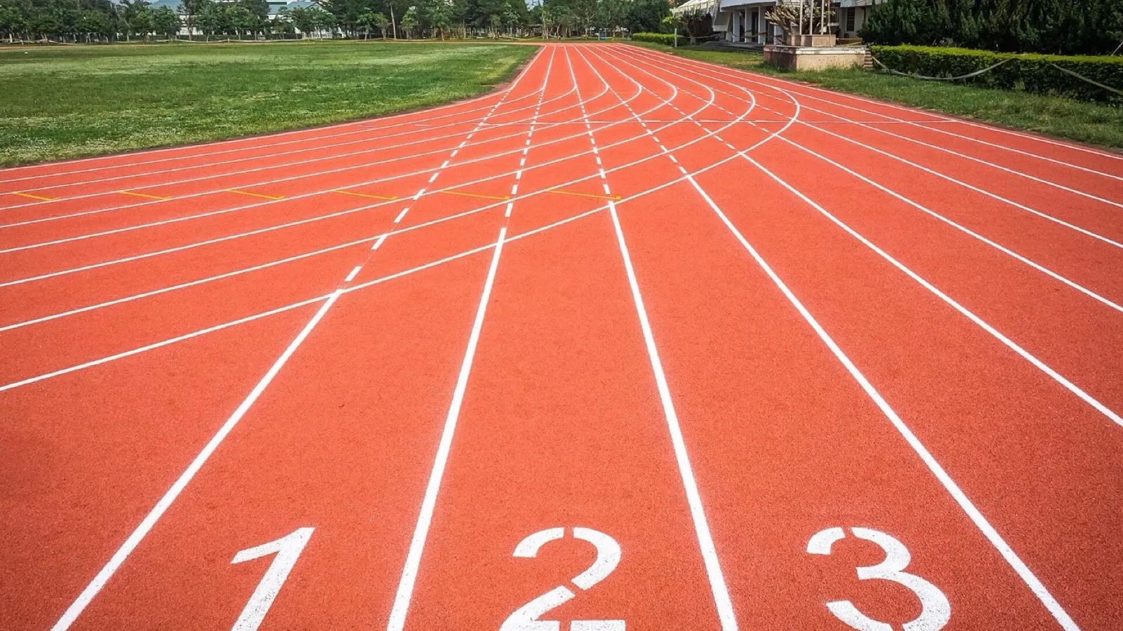 A running track, a loop that brings you back to the start line.