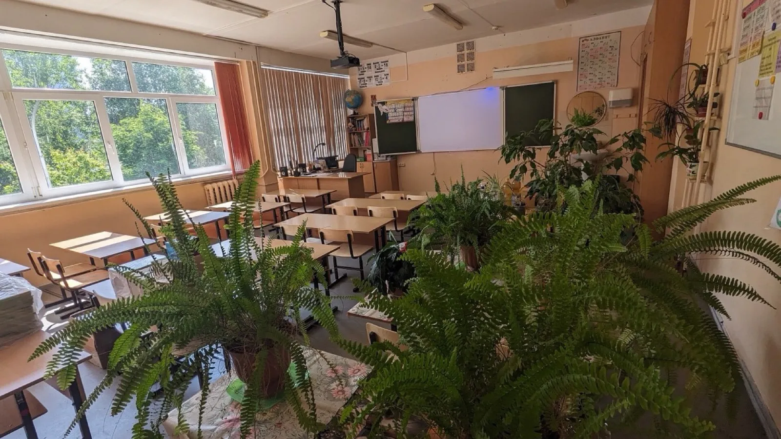 An empty classroom with desks, a blackboard and plants, waiting for a teacher to fill it.