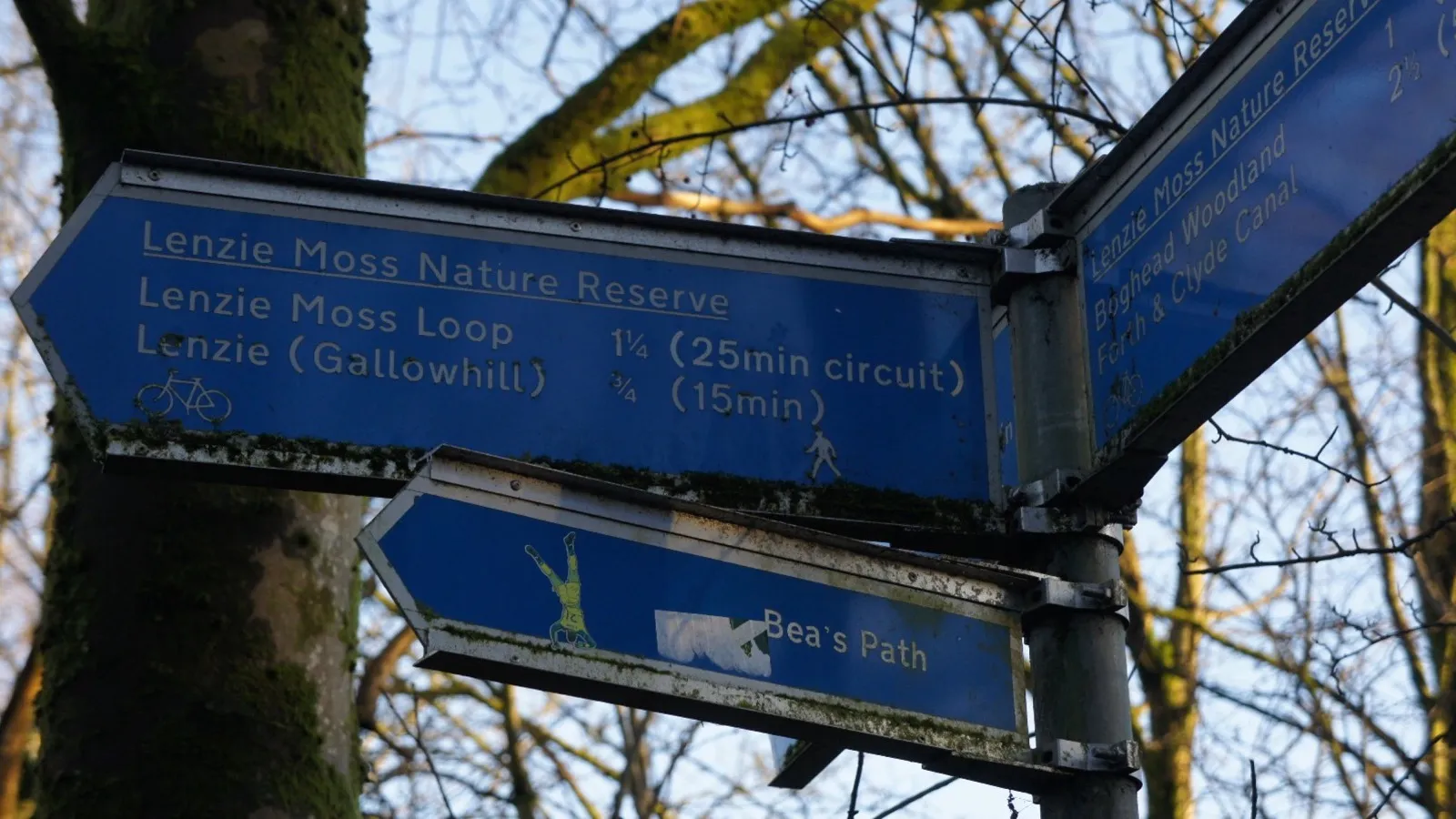 A signpost pointing several ways, which is what direction words do in a sentence. Photo: Fonamcjimmyjimmy, CC BY-SA 4.0, via Wikimedia Commons.